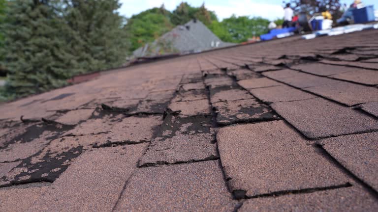 Best Roof Coating Services  in Clinton, UT