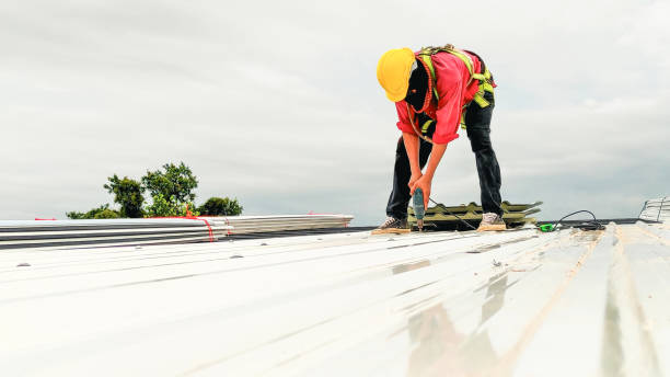 Best Skylight Installation and Repair  in Clinton, UT